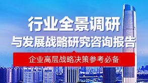 行業(yè)全景調(diào)研與發(fā)展戰(zhàn)略研究報告